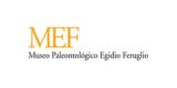 MEF Museo Paleontologico Egidio Feruglio
